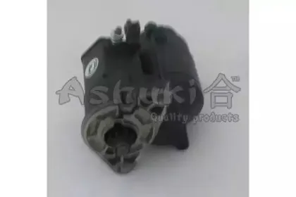 ashuki-15632012