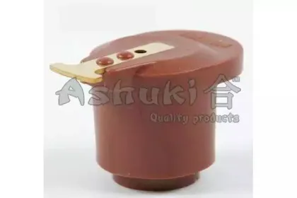 ashuki-15991002