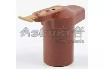 ashuki-15995002