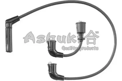 ashuki-16149150