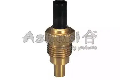 ashuki-16864202