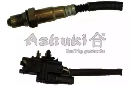 ashuki-9200108006