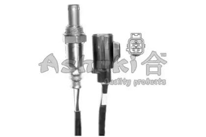 ashuki-9200108052