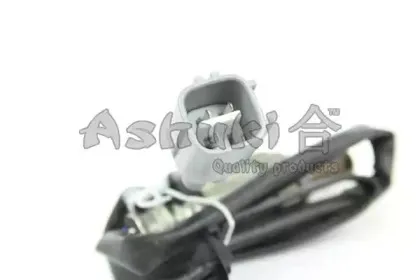 ashuki-9200108118