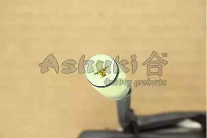 ashuki-920042018