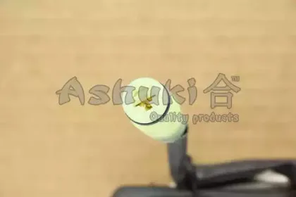 ashuki-920042018