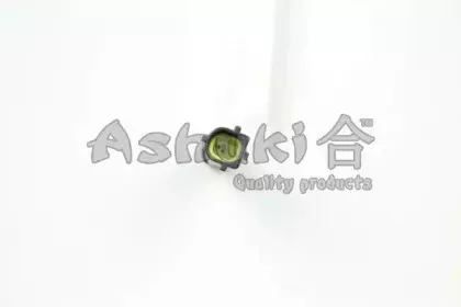 ashuki-920042040