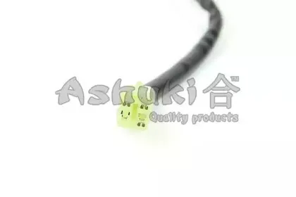 ashuki-920046310