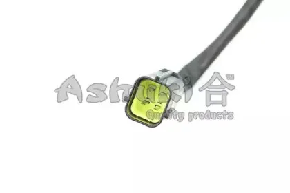 ashuki-920048134