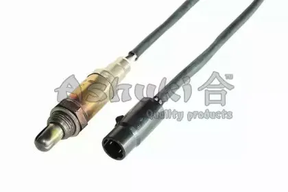 ashuki-920048182