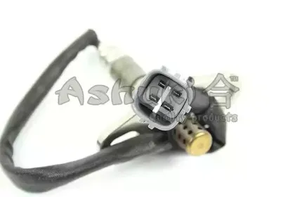 ashuki-920048302