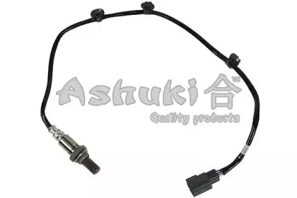 ashuki-920048352