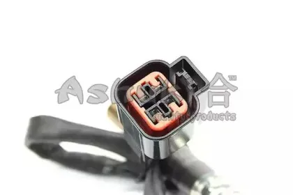 ashuki-920048458
