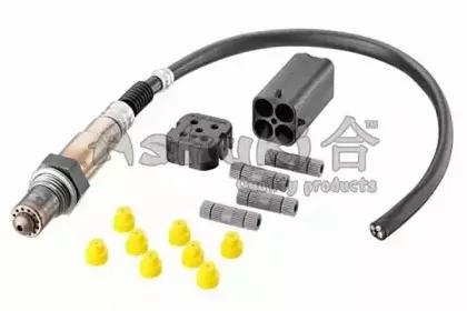 ashuki-920048480