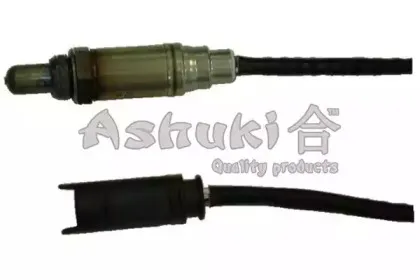 ashuki-920048780