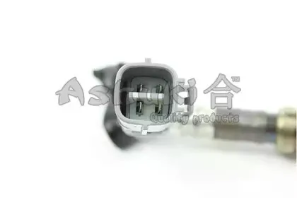 ashuki-920048840