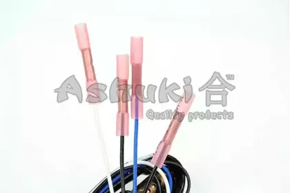 ashuki-920048974