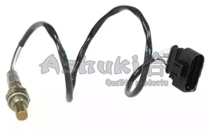 ashuki-920049188