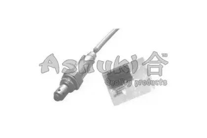 ashuki-920049518