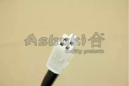 ashuki-920049804