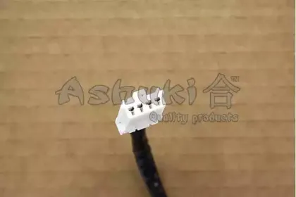 ashuki-920049960