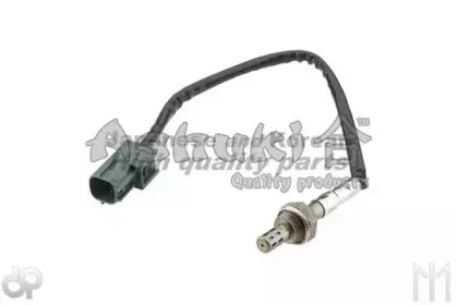 ashuki-b40424