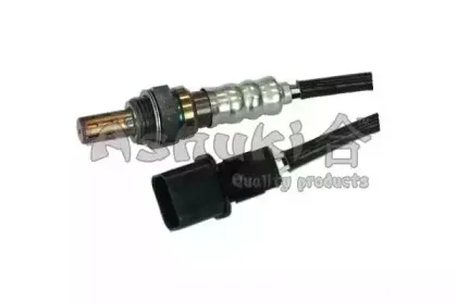 ashuki-b42509