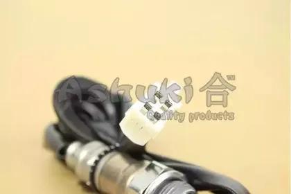 ashuki-b43008