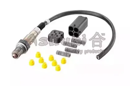 ashuki-b43017