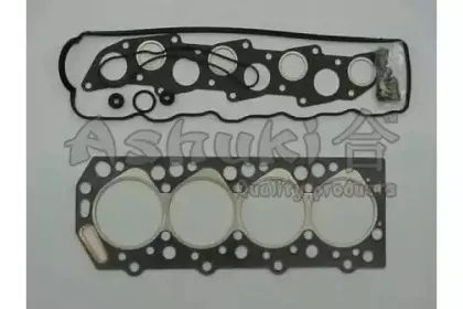 ashuki-c11203