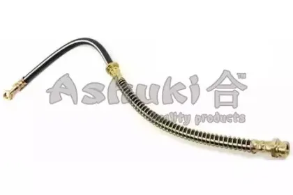 ashuki-c30201