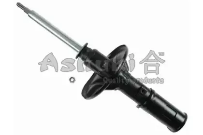 ashuki-c33035