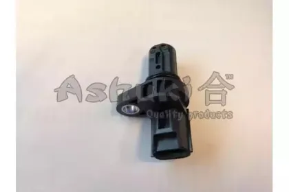 ashuki-c44017