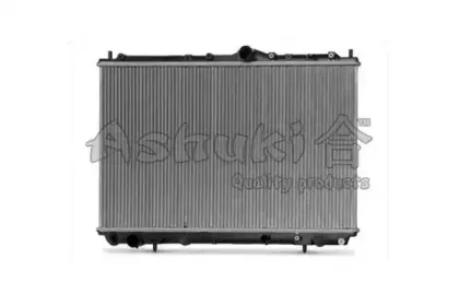 ashuki-c55420