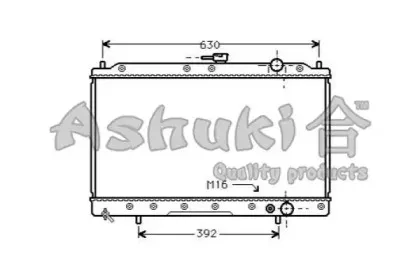ashuki-c55501