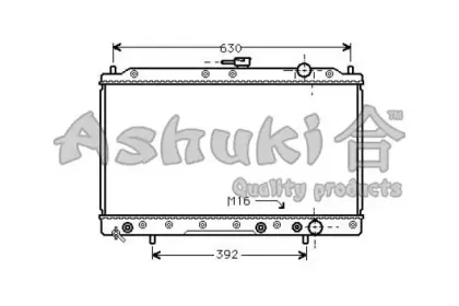 ashuki-c55601
