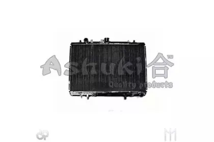 ashuki-c55608