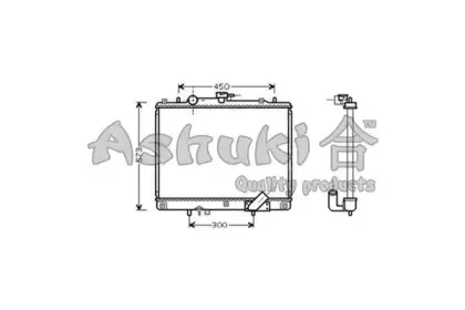 ashuki-c55766