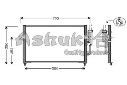 ashuki-c55801