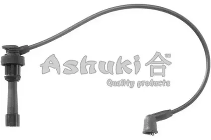 ashuki-c78265