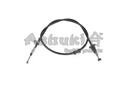 ashuki-c81053