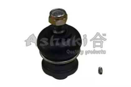 ashuki-c86505