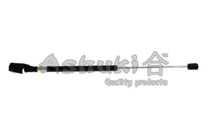 ashuki-c92536