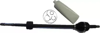 ashuki-d11646