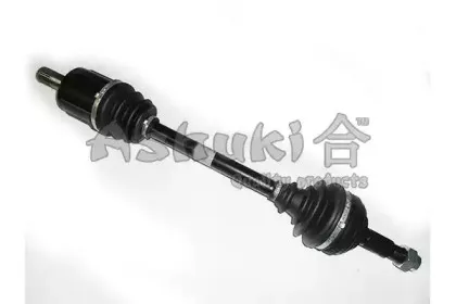 ashuki-h06665