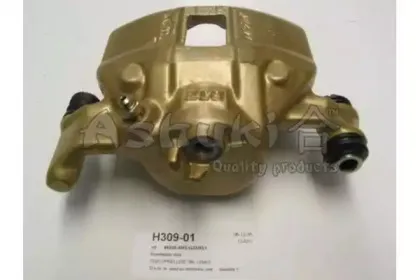 ashuki-h30901