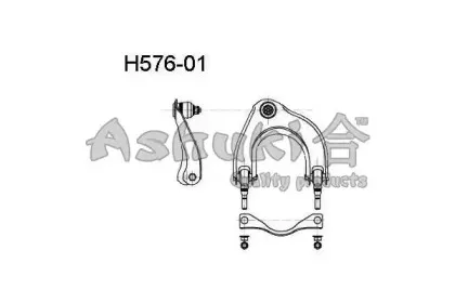 ashuki-h57601