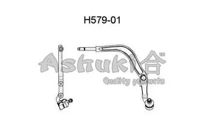 ashuki-h57901