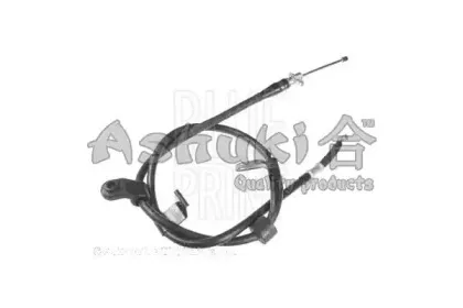 ashuki-hrk12437