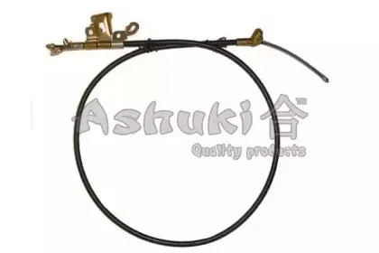 ashuki-hrk12484